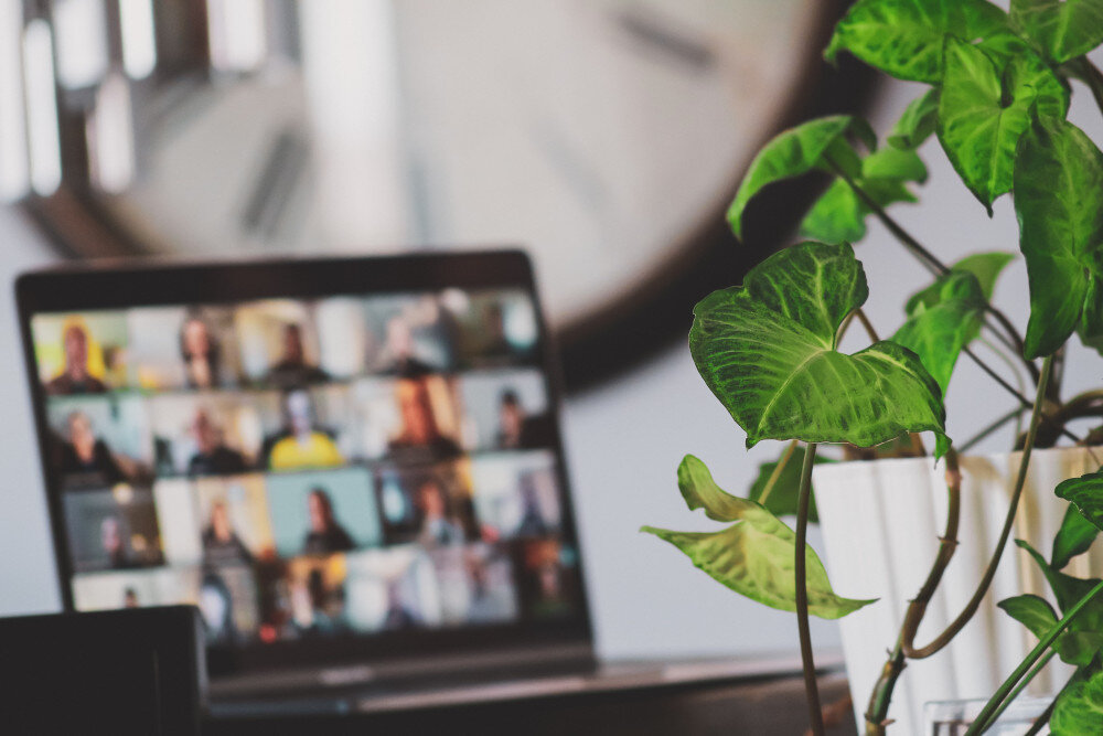 Auf einem Laptop ist ein Konferenzcall via Software mit vielen Teilnehmenden zu sehen. Eine Blume ragt in das Bild hinein. | © sigmund-eTgMFFzroGc-unsplash